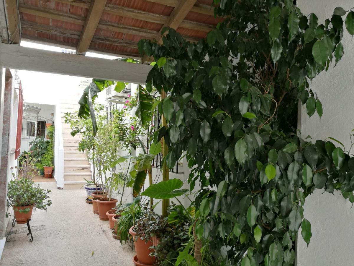 Casa Carmeleni - Ole Solutions Villa Jerez de la Frontera Buitenkant foto